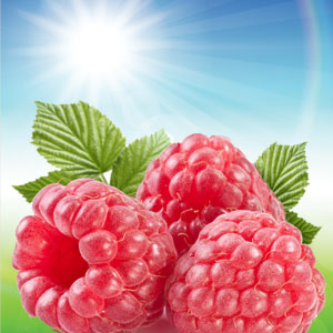 Sun Ripened Raspberry-